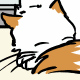 Q&A for Fat Cat